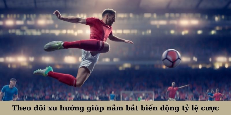 Theo dõi xu hướng giúp người chơi nắm bắt biến động tỷ lệ cược